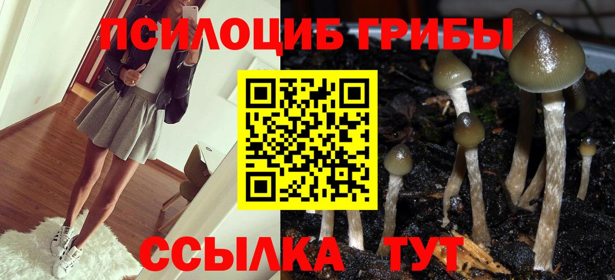 Галлюциногенные грибы Cubensis Кропоткин