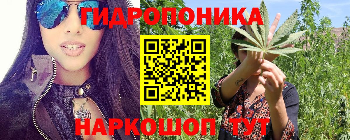 Каннабис план  Вход с VPN  Конопля индика  Кропоткин 